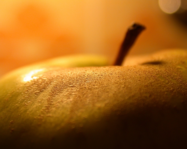 Fruits fond écran wallpaper